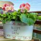 Preview: Metall Pflanzwanne "Bloom & Grow"